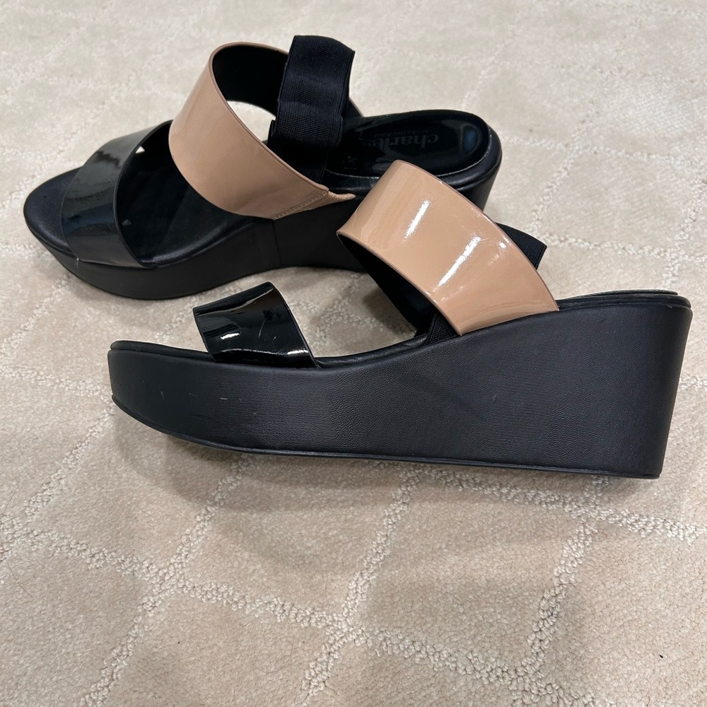 CHARLES BY CHARLES DAVID WEDGES
